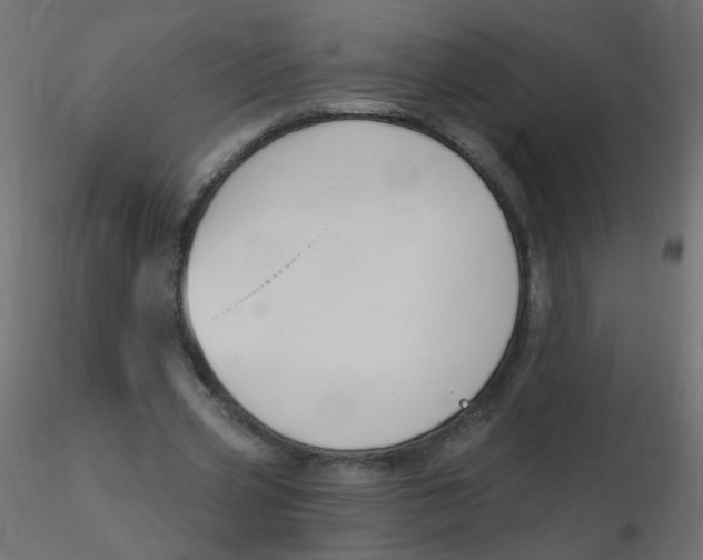X0000116630533200912312202