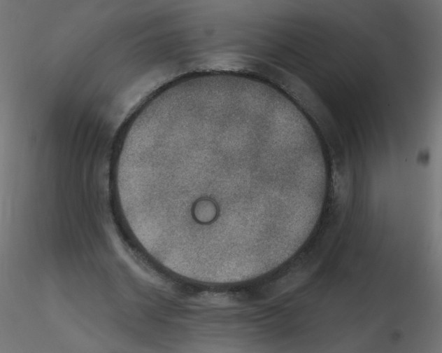 X0000116630534200912312202