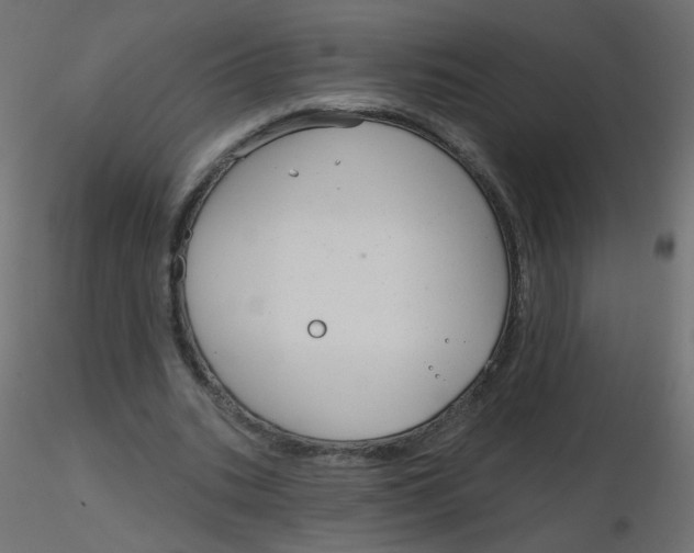 X0000116630535200912312202
