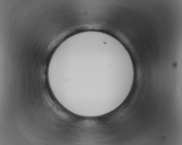 X0000116630537200912312202