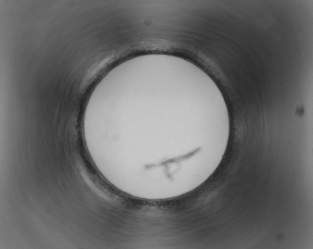 X0000116630538200912312202
