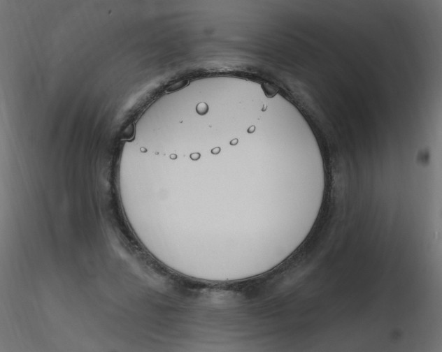 X0000116630539200912312202