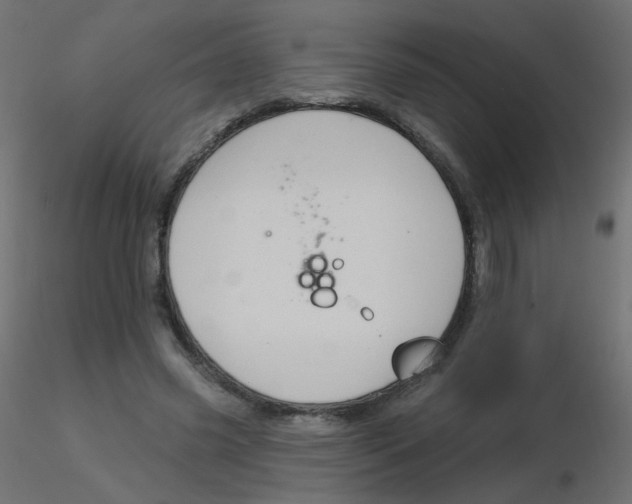 X0000116630541200912312202