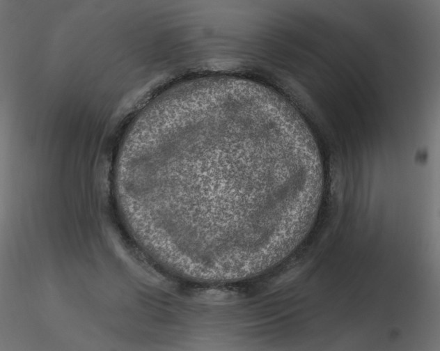 X0000116630542200912312202