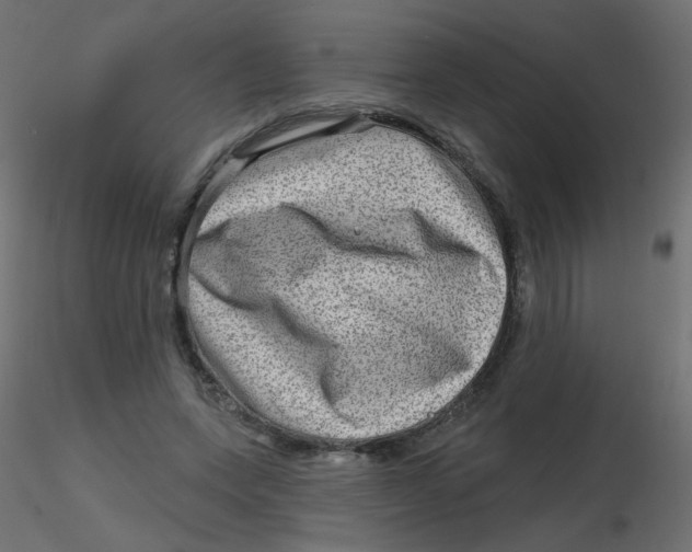 X0000116630543200912312202