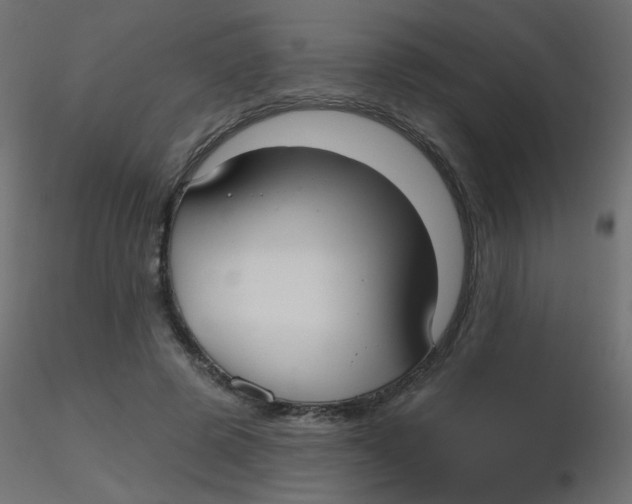 X0000116630545200912312202