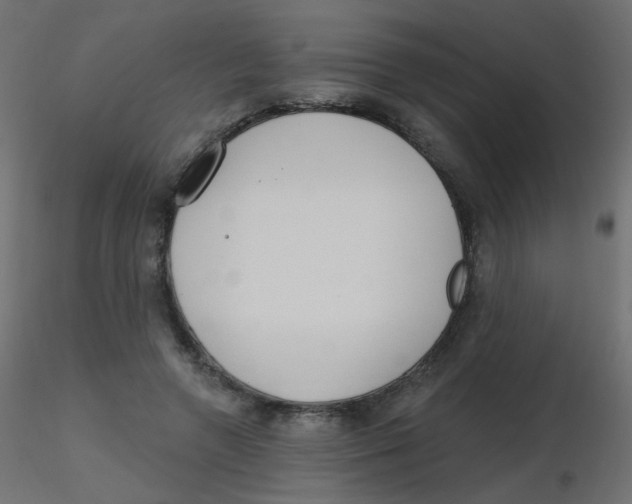 X0000116630546200912312202