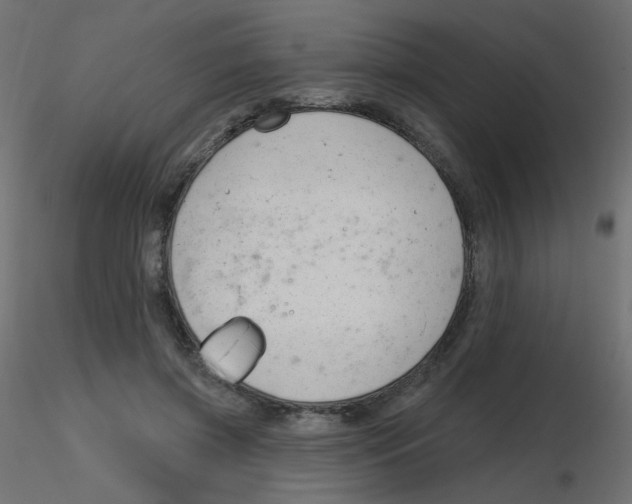 X0000116630549200912312202