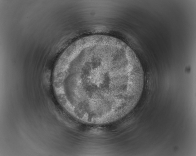 X0000116630550200912312202