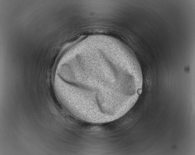 X0000116630551200912312202