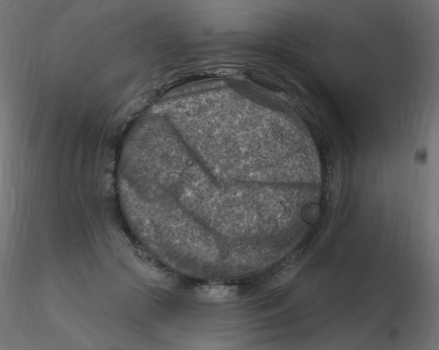 X0000116630553200912312202