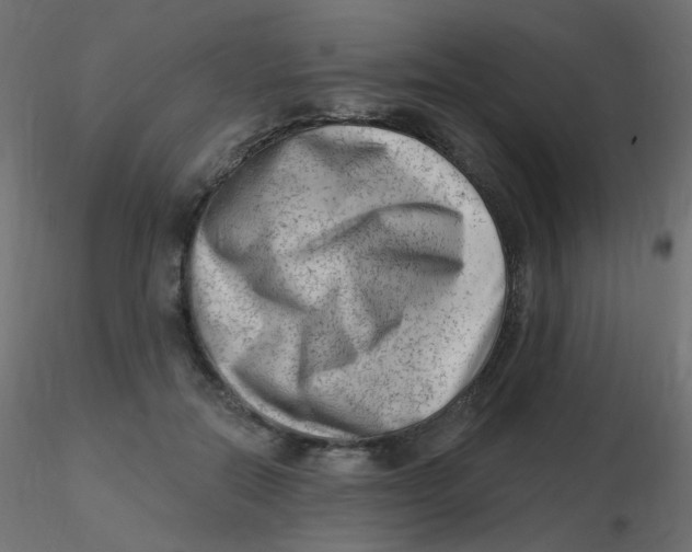 X0000116630554200912312202