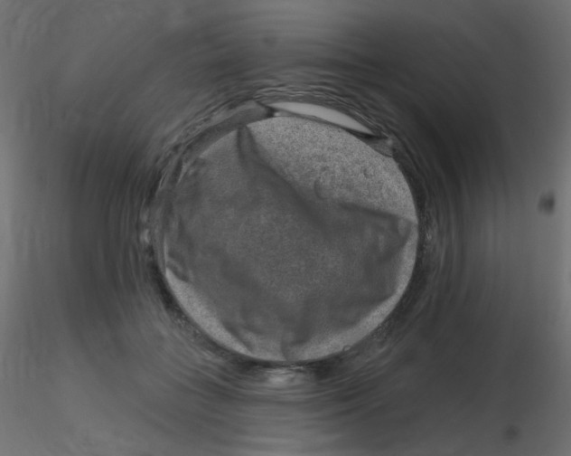X0000116630555200912312202