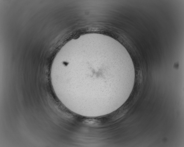 X0000116630557200912312202