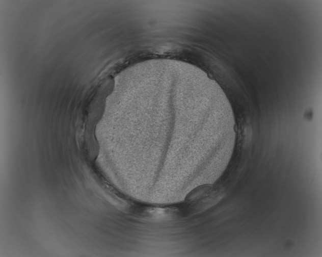 X0000116630558200912312202