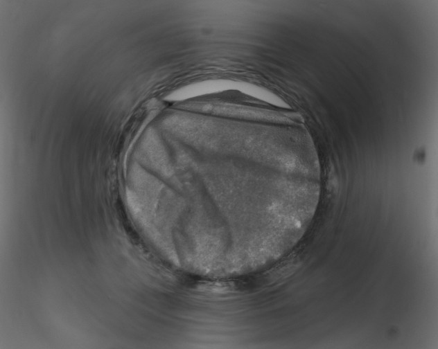 X0000116630559200912312202