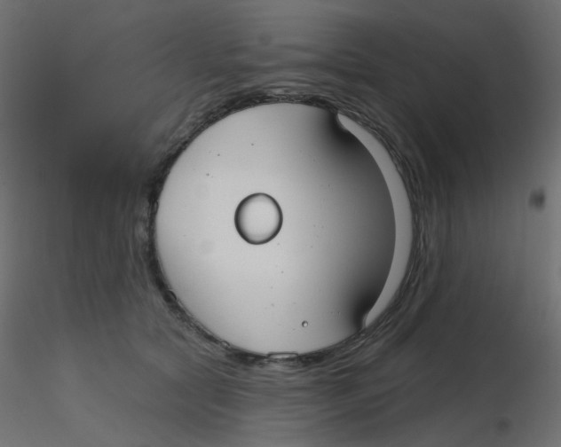 X0000116630561200912312202