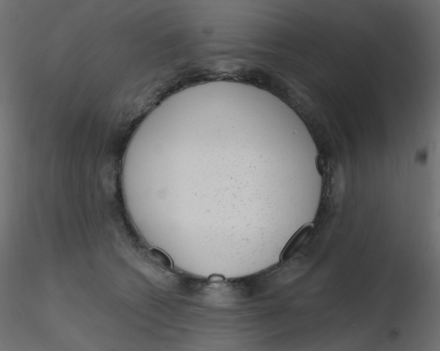 X0000116630562200912312202