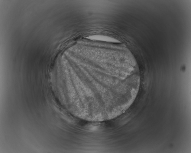 X0000116630563200912312202