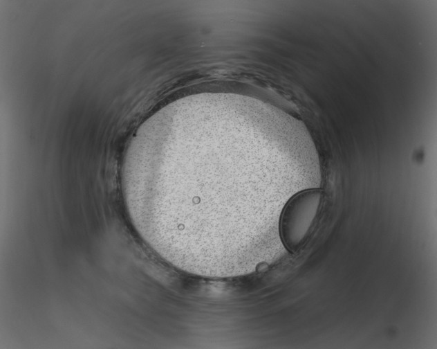 X0000116630565200912312202