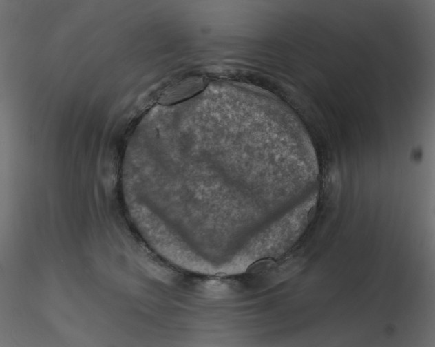 X0000116630566200912312202