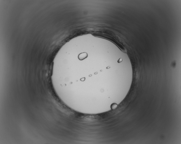 X0000116630567200912312202