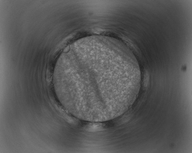X0000116630569200912312202