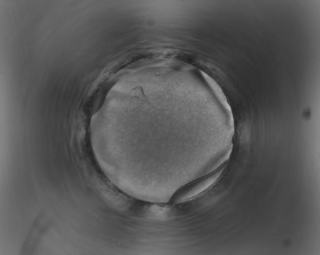 X0000116630570200912312202