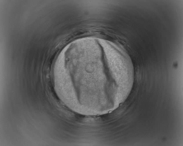 X0000116630571200912312202