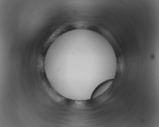X0000116630573200912312202