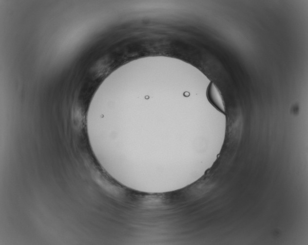 X0000116630574200912312202