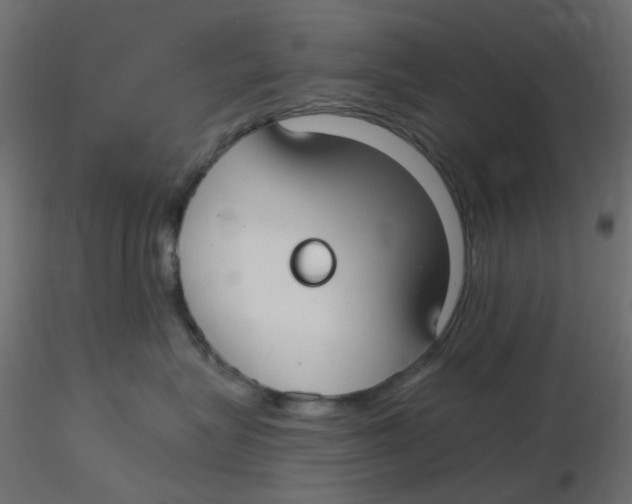 X0000116630575200912312202
