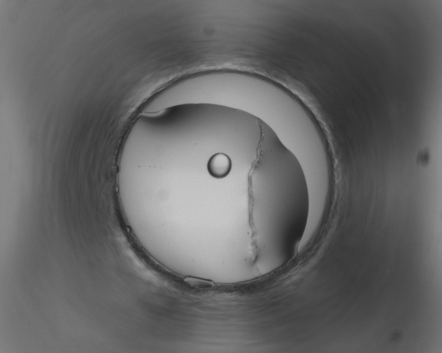 X0000116630577200912312202