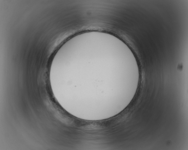 X0000116630578200912312202