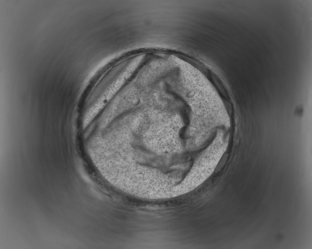 X0000116630580200912312201