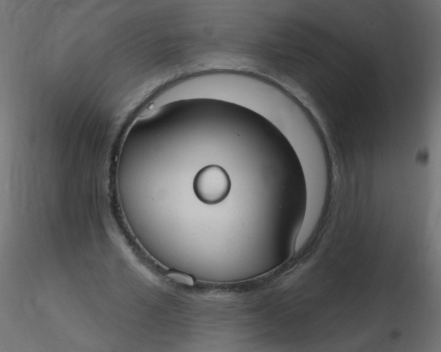 X0000116630581200912312201