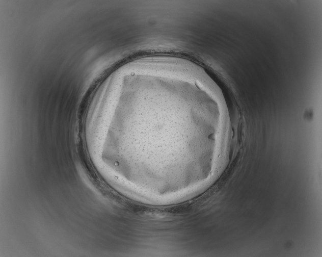 X0000116630582200912312201