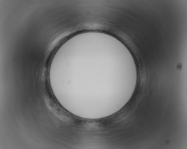 X0000116630583200912312201