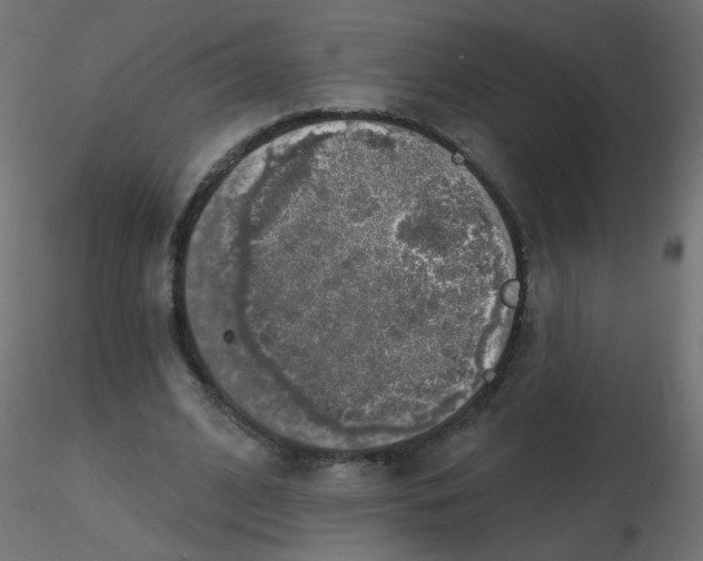 X0000116630584200912312201