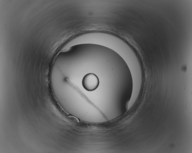 X0000116630585200912312201