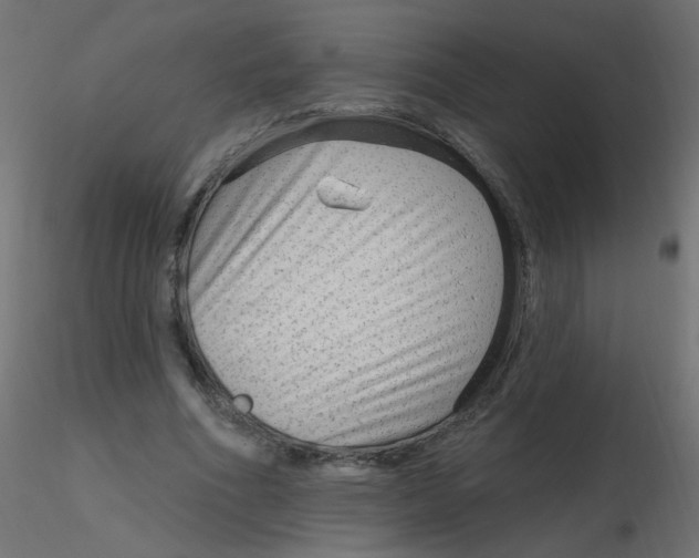 X0000116630586200912312201