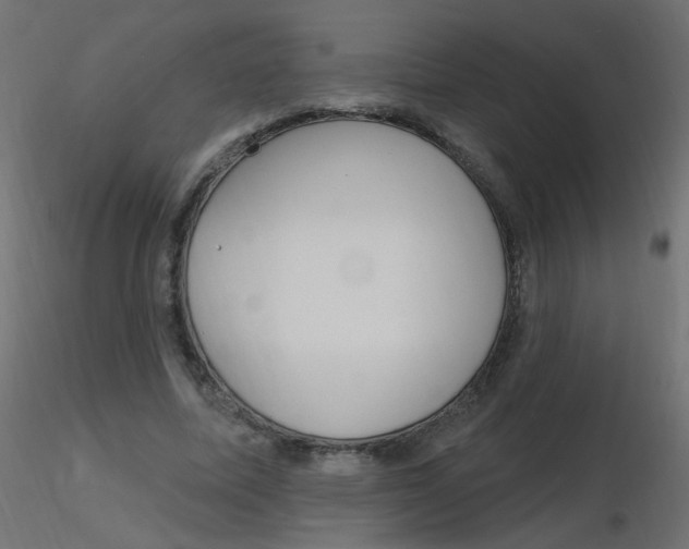 X0000116630587200912312201