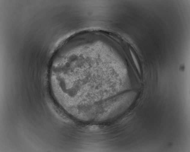 X0000116630588200912312201
