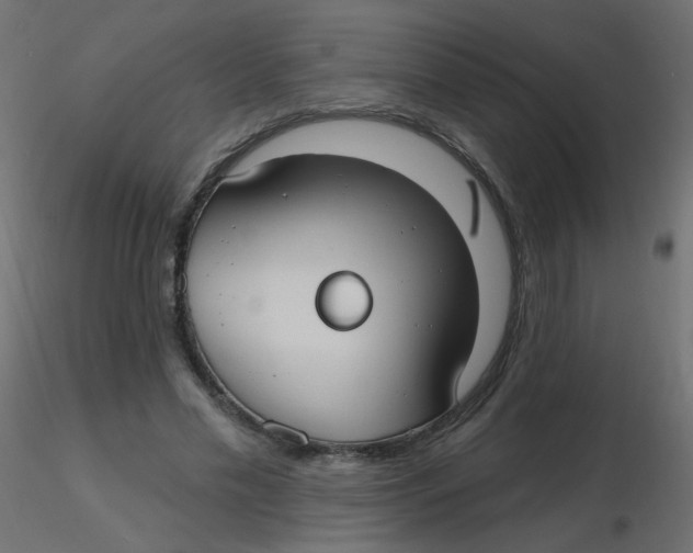 X0000116630589200912312201