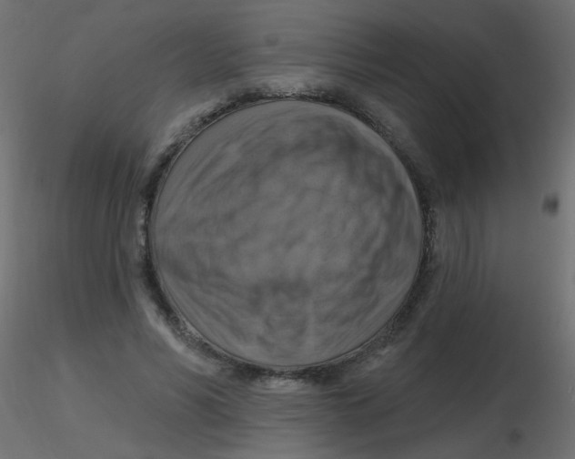 X0000116630590200912312201