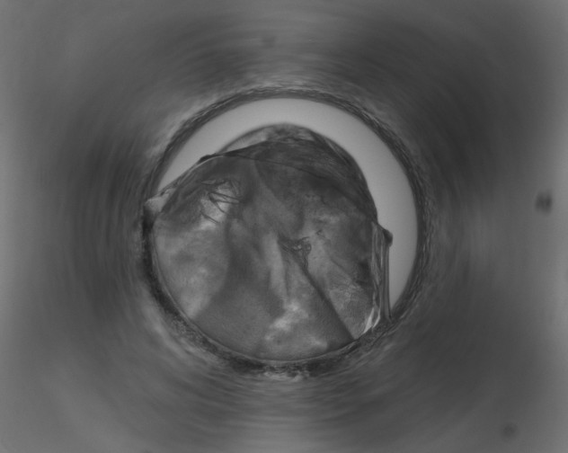 X0000116630592200912312201