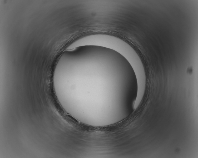 X0000116630593200912312201