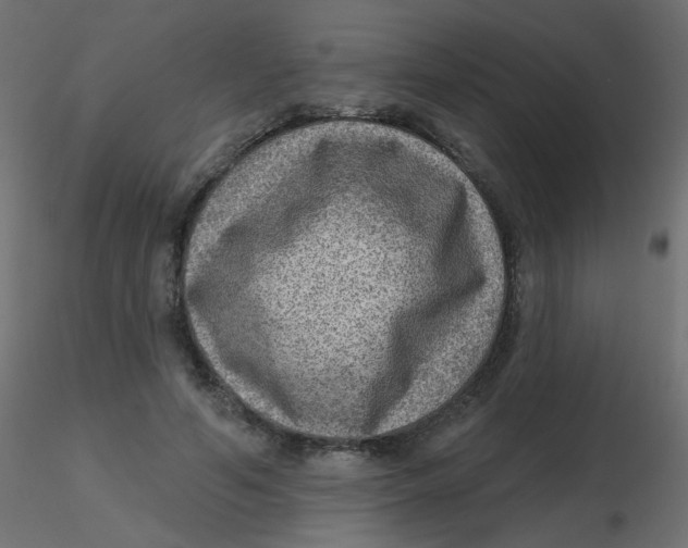 X0000116630594200912312201