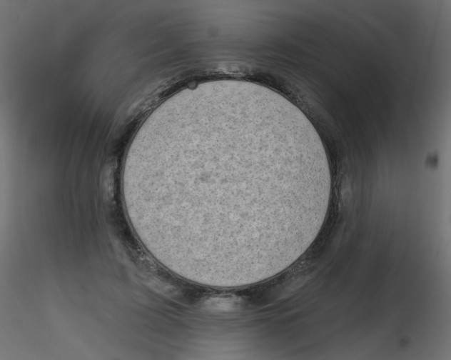 X0000116630595200912312201
