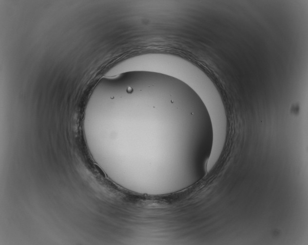 X0000116630597200912312201